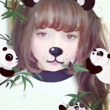 またの記事動画