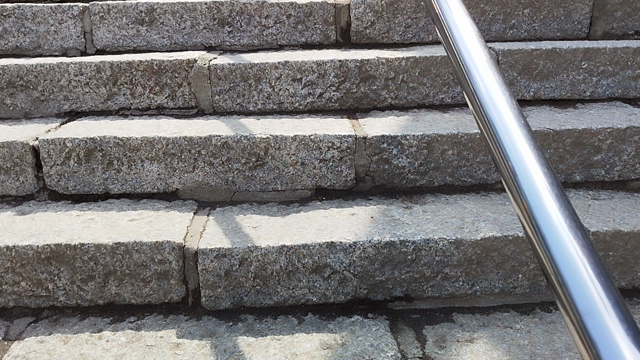 春の旅行はの記事動画