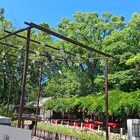 夏ですねの画像