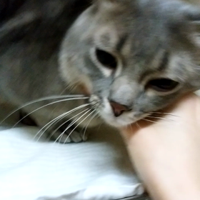 今朝のレオくんの画像