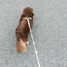 お泊まり　ファミリー１の画像