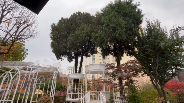 ソウルは雨が降ってきました。そんな時は…の記事動画