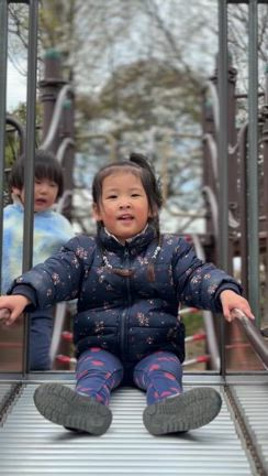 実家団欒の時間の記事動画