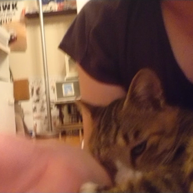 2019/09/09の画像