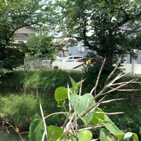 2019/07/11の画像