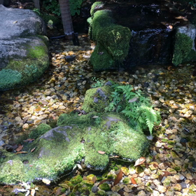 2019/06/18の画像