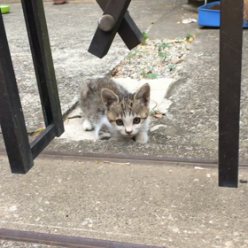 2019/06/21の画像