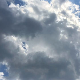 2019/06/25の画像