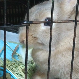 まちがいさがしの画像