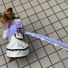 もんもんだよりの画像