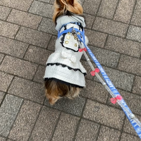 もんもんだよりの画像