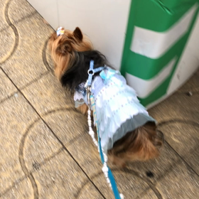 もんもんだよりの画像