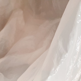 白日の画像