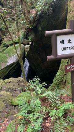百間山渓谷に行って来ました！の記事動画