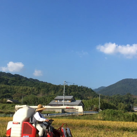 収穫の画像