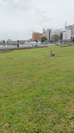 変わらない毎日の記事動画