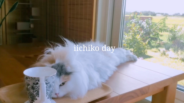 いいちこ2022 ムッシュガーデン編の記事動画