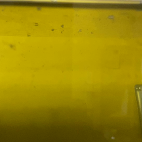 ヤフオクの卵！の画像