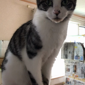 熱出たど……の画像
