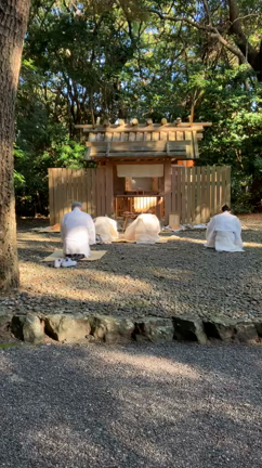 伊勢の旅その2の記事動画