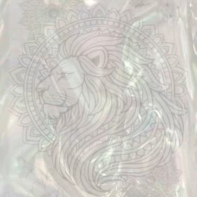 2026/02/19の画像