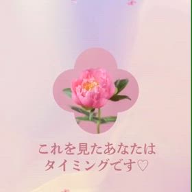 2026/06/08の画像