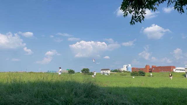 夫の凧あげ体験とお米の話しの記事動画