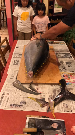 やっぱりマグロって凄い！の記事動画