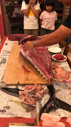 やっぱりマグロって凄い！の記事動画