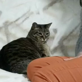 ハイタッチの画像