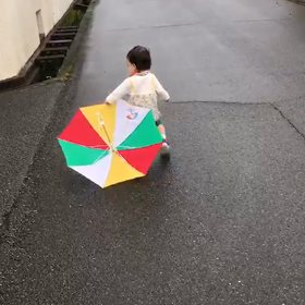 雨でもお散歩の画像