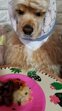Birthday party the next day of...の記事動画
