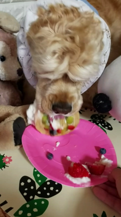 Birthday party the next day of...の記事動画
