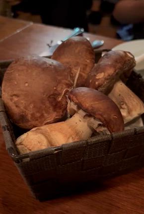 1週間の夕食振り返りの記事動画