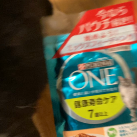 必死すぎます…。の画像