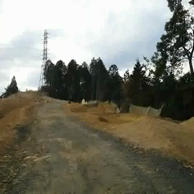 一年前の画像