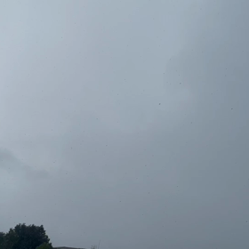 雨降って来たの画像