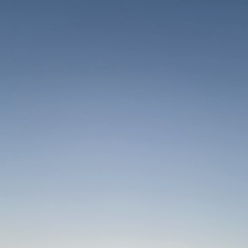 3月19日の画像