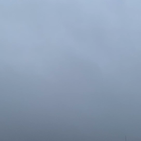 6月19日の画像