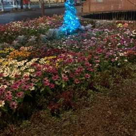 12月23日の画像