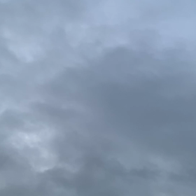 7月31日の画像