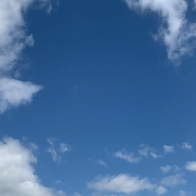 5月17日の画像