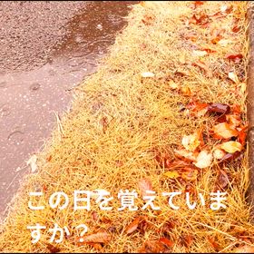雨の休日、3年前の休日を見る。の画像