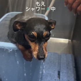 2025/01/08の画像