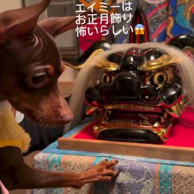 2025/01/04の画像