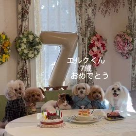2025/02/09の画像