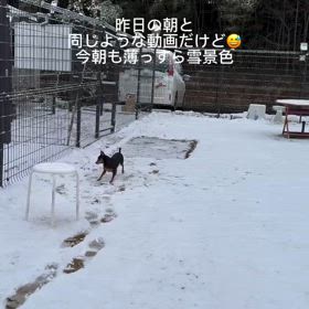 2025/01/18の画像