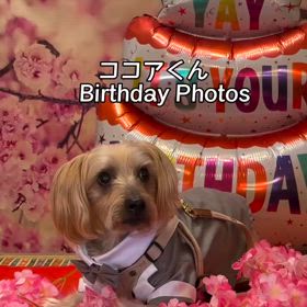2025/03/18の画像