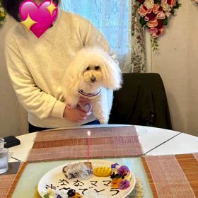 2025/04/14の画像