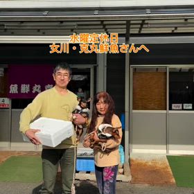 2025/01/29の画像
